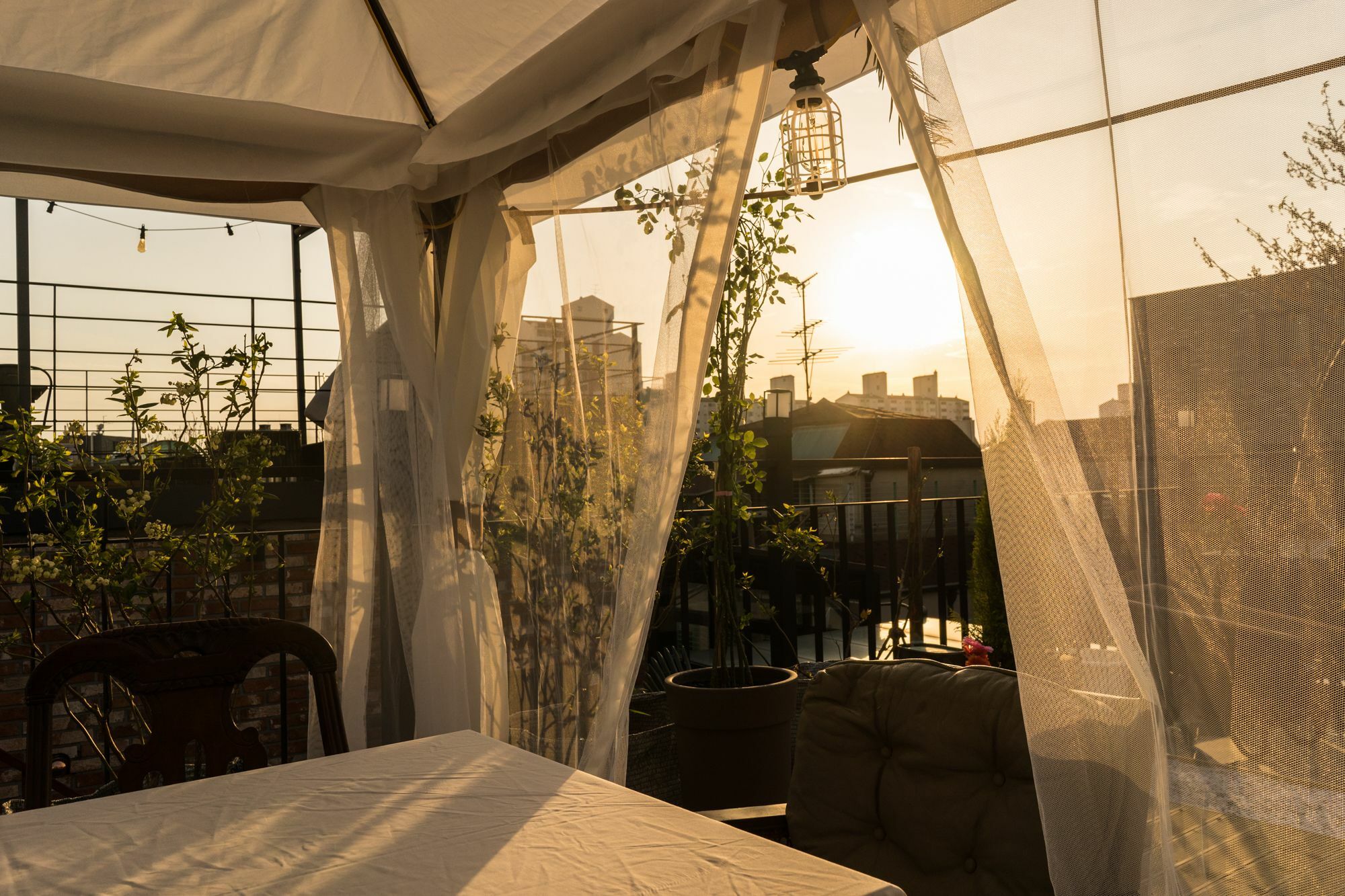 Tetto House Rooftop Garden Seoul Bagian luar foto